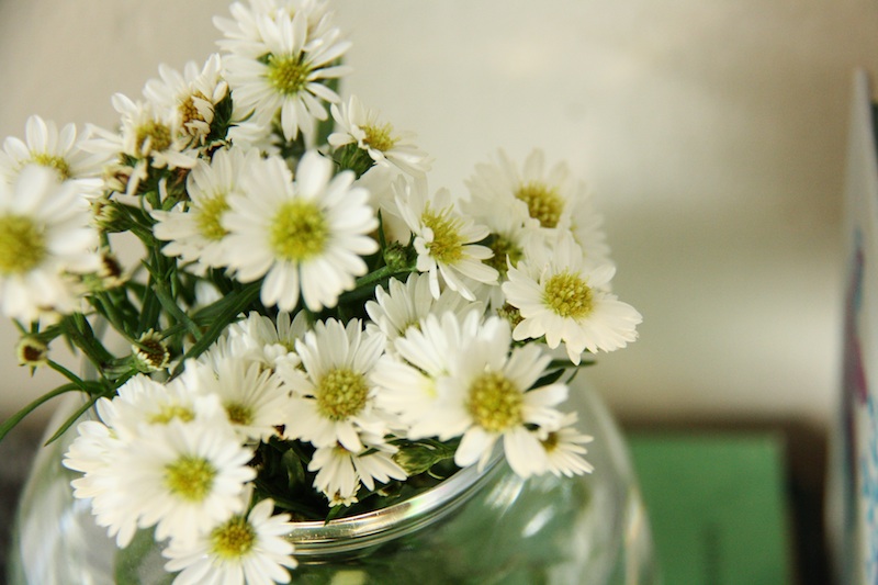 White daisies | redleafstyle.com