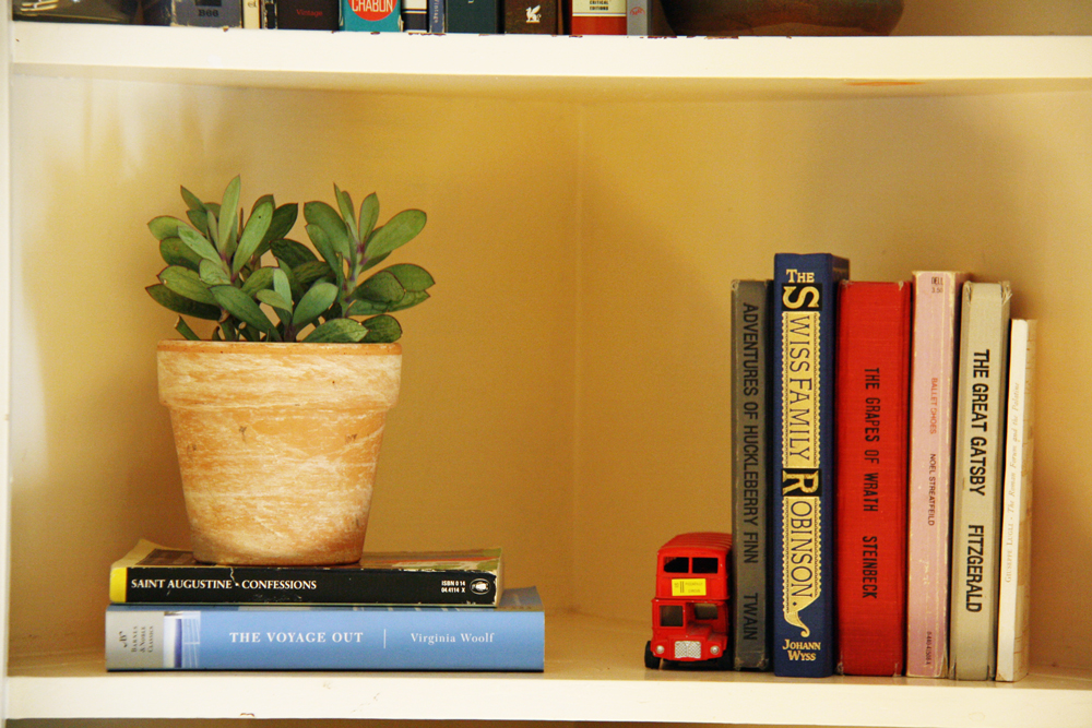 Bookshelf with books and potted plant.
