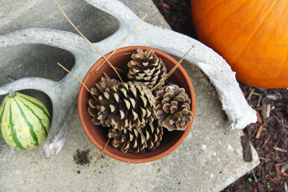 Fall Decorating on the Front Porch | redleafstyle.com