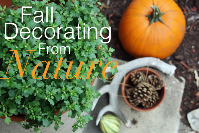 Fall Decorating From Nature | redleafstyle.com